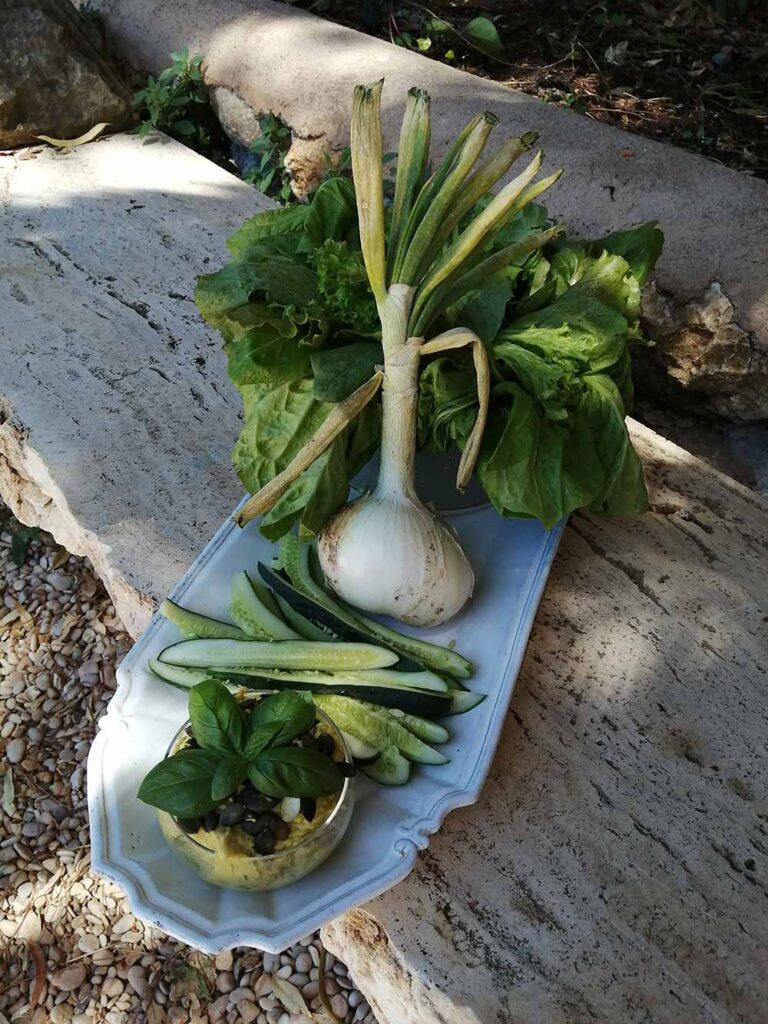 Nutrirsi Sano